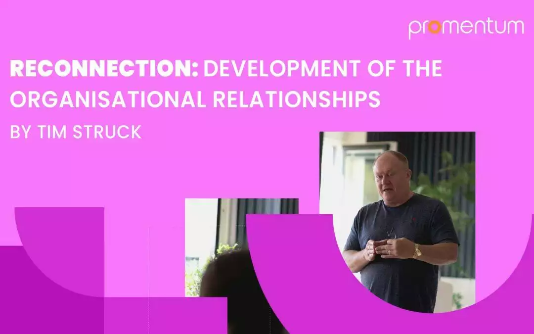 Reconnection: Development of the organisational relationships