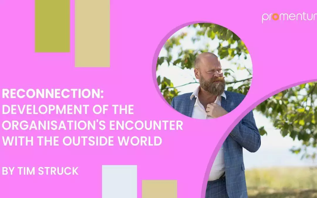 Reconnection: Development of the organisation’s encounter with the outside world